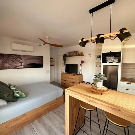 Sunrisemare Vacational Roses