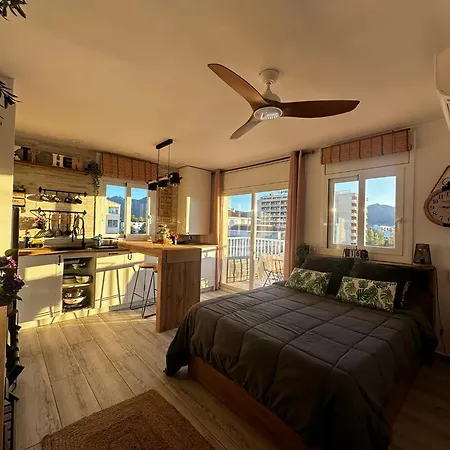 Sunrisemare Vacational Roses